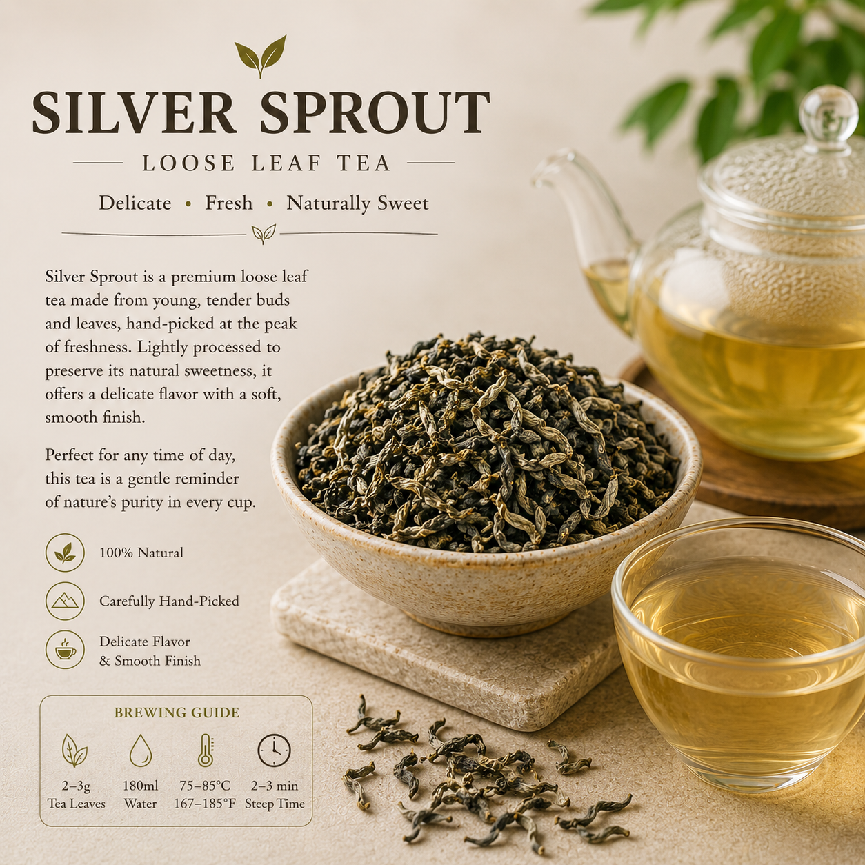 Silver Sprout